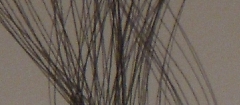 Carta A4